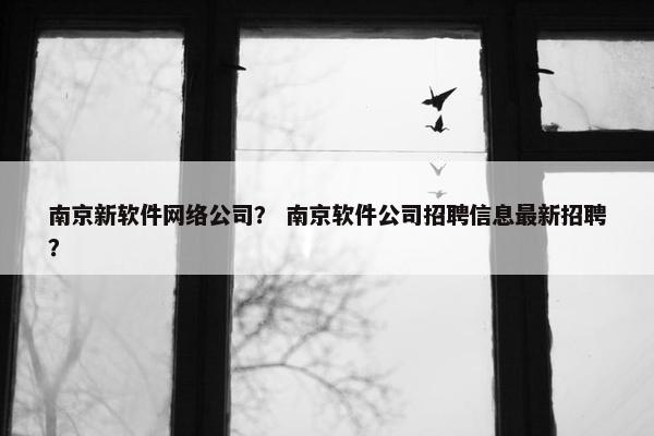 南京新软件网络公司？ 南京软件公司招聘信息最新招聘？