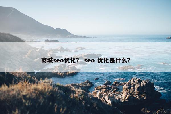 商城seo优化？ seo 优化是什么？