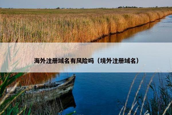 海外注册域名有风险吗（境外注册域名）