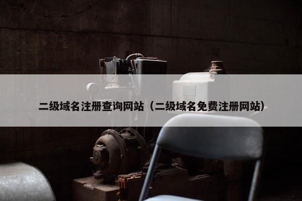 二级域名注册查询网站（二级域名免费注册网站）