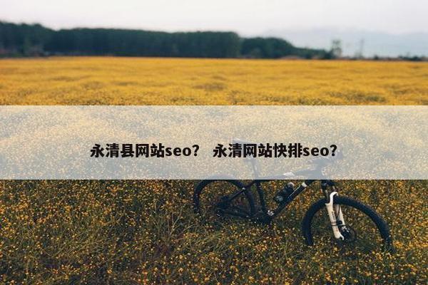 永清县网站seo？ 永清网站快排seo？