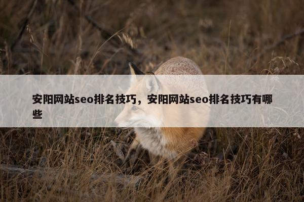 安阳网站seo排名技巧，安阳网站seo排名技巧有哪些
