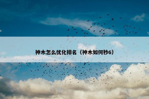 神木怎么优化排名（神木如何秒6）