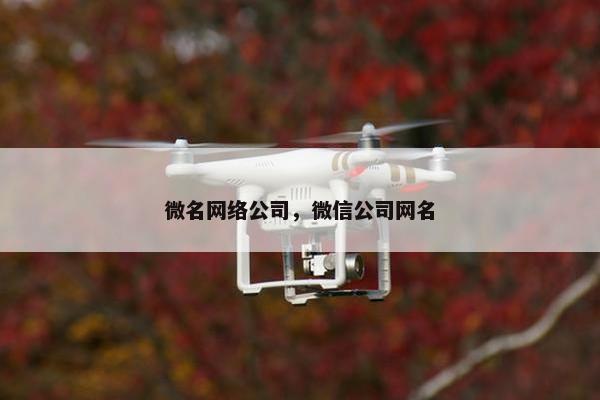 微名网络公司，微信公司网名