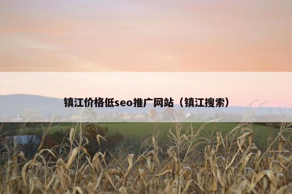 镇江价格低seo推广网站（镇江搜索）