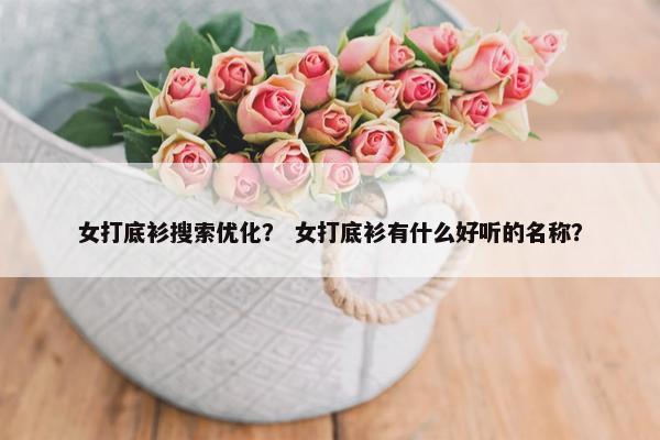 女打底衫搜索优化？ 女打底衫有什么好听的名称？