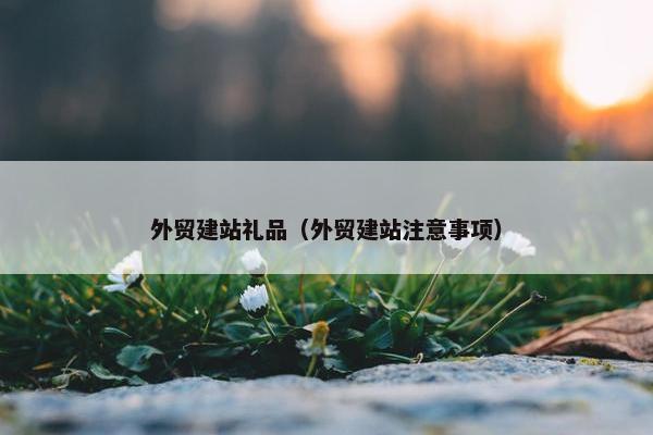 外贸建站礼品（外贸建站注意事项）