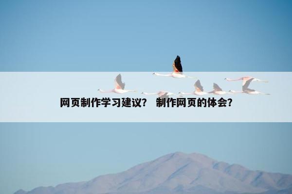网页制作学习建议？ 制作网页的体会？