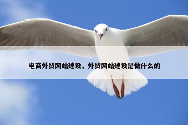 电商外贸网站建设，外贸网站建设是做什么的