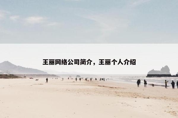 王丽网络公司简介，王丽个人介绍