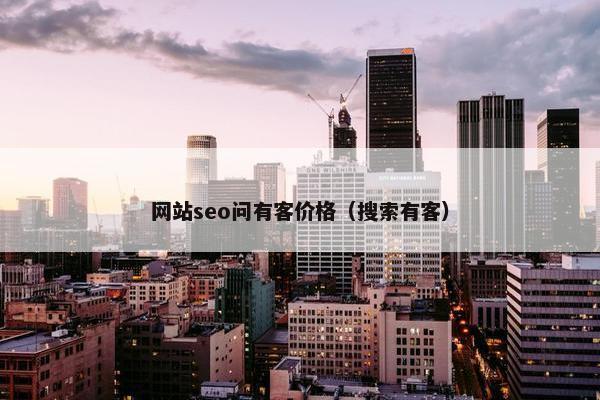 网站seo问有客价格（搜索有客）