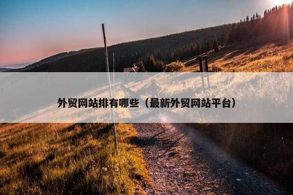 外贸网站排有哪些（最新外贸网站平台）