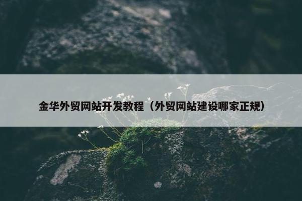 金华外贸网站开发教程（外贸网站建设哪家正规）