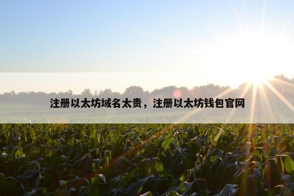 注册以太坊域名太贵，注册以太坊钱包官网