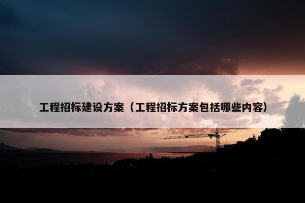 工程招标建设方案（工程招标方案包括哪些内容）