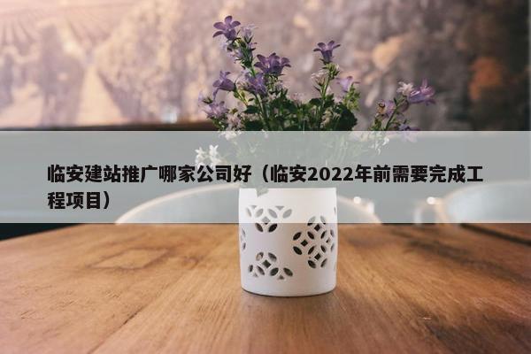 临安建站推广哪家公司好（临安2022年前需要完成工程项目）