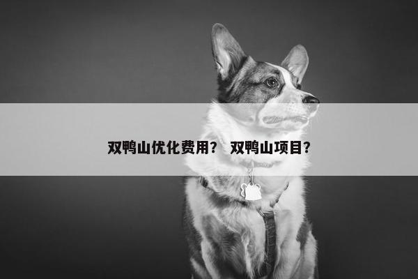 双鸭山优化费用？ 双鸭山项目？