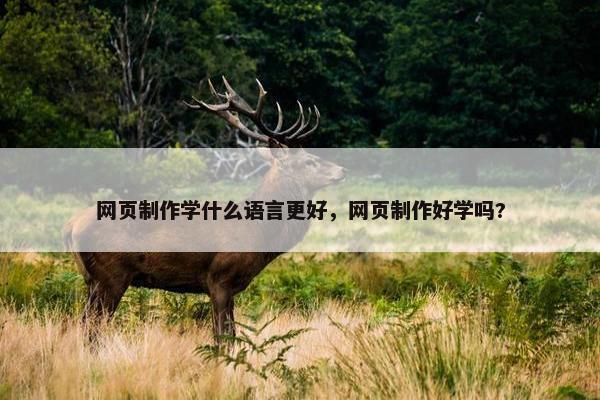 网页制作学什么语言更好，网页制作好学吗?