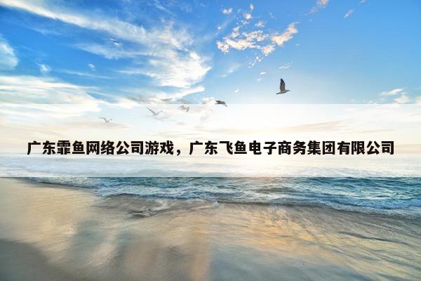 广东霏鱼网络公司游戏，广东飞鱼电子商务集团有限公司