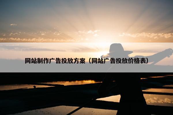 网站制作广告投放方案（网站广告投放价格表）