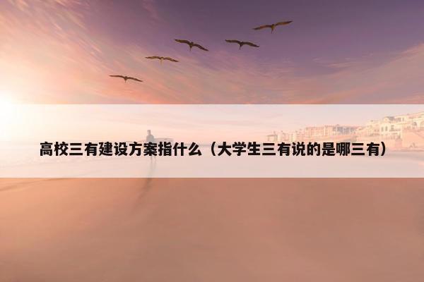 高校三有建设方案指什么（大学生三有说的是哪三有）