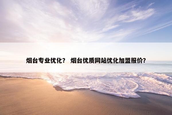 烟台专业优化？ 烟台优质网站优化加盟报价？