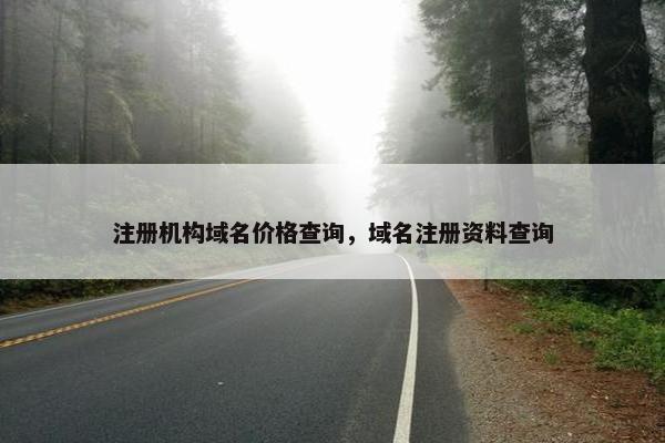 注册机构域名价格查询，域名注册资料查询
