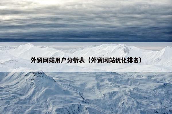 外贸网站用户分析表（外贸网站优化排名）