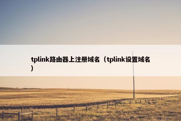 tplink路由器上注册域名（tplink设置域名）