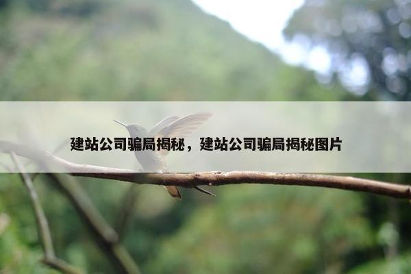 建站公司骗局揭秘，建站公司骗局揭秘图片
