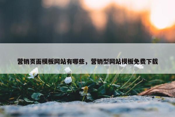 营销页面模板网站有哪些，营销型网站模板免费下载