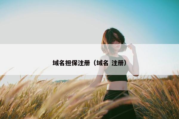 域名担保注册（域名 注册）