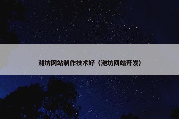 潍坊网站制作技术好（潍坊网站开发）