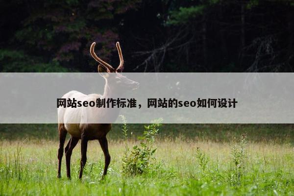 网站seo制作标准，网站的seo如何设计