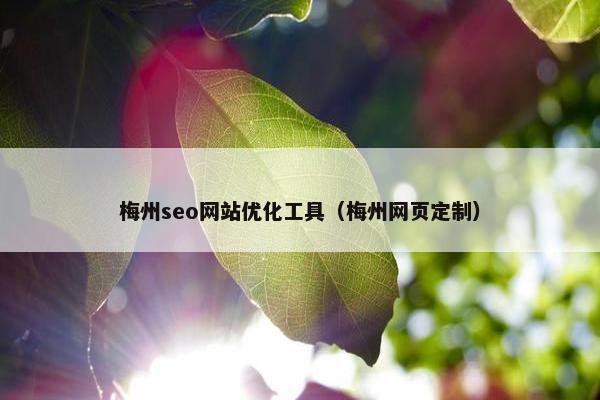 梅州seo网站优化工具（梅州网页定制）