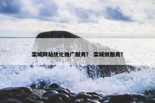 栾城网站优化推广服务？ 栾城微服务？