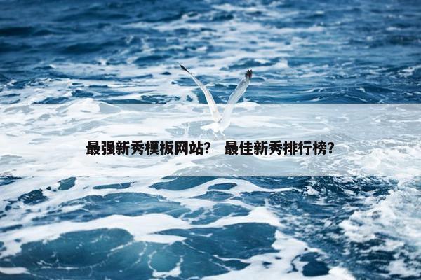最强新秀模板网站？ 最佳新秀排行榜？