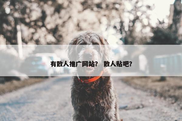 有散人推广网站？ 散人贴吧？