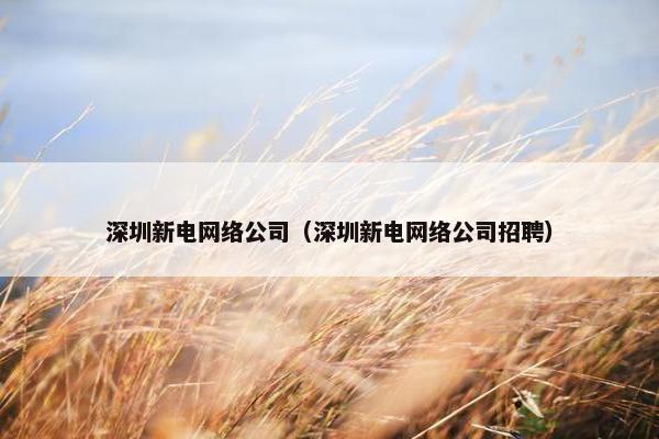 深圳新电网络公司（深圳新电网络公司招聘）