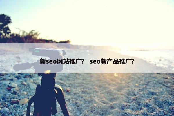 新seo网站推广？ seo新产品推广？