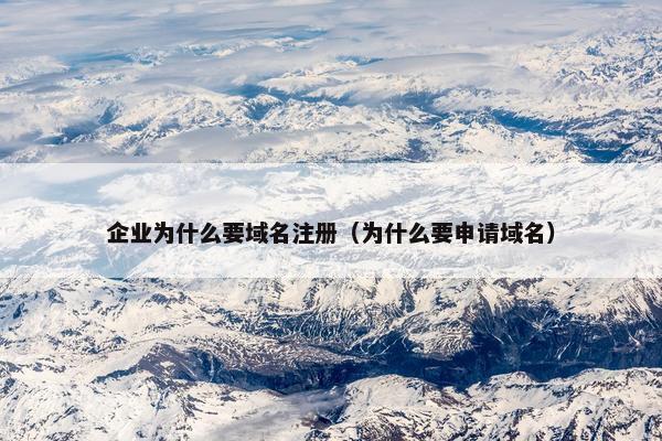 企业为什么要域名注册（为什么要申请域名）