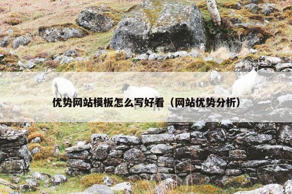 优势网站模板怎么写好看（网站优势分析）
