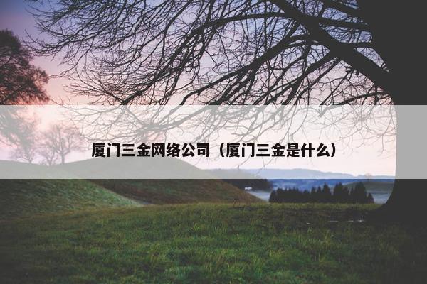 厦门三金网络公司（厦门三金是什么）