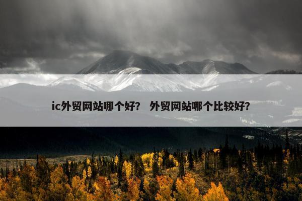 ic外贸网站哪个好？ 外贸网站哪个比较好？