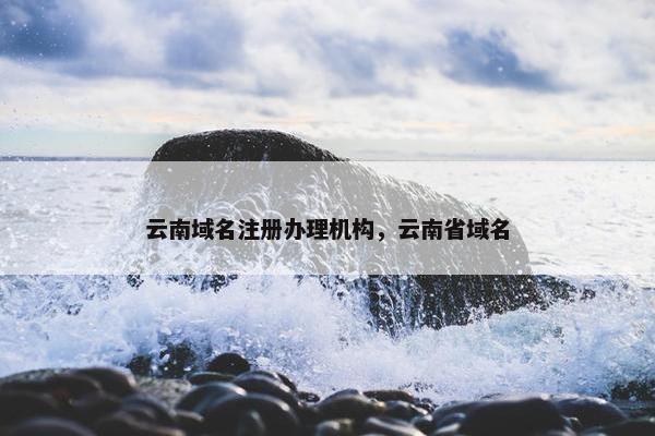 云南域名注册办理机构，云南省域名