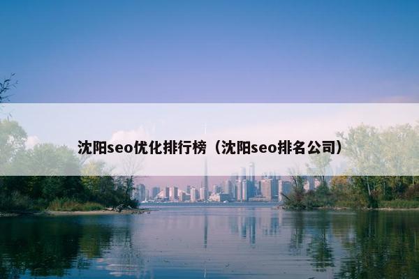 沈阳seo优化排行榜（沈阳seo排名公司）