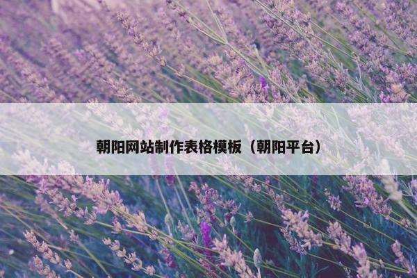 朝阳网站制作表格模板（朝阳平台）