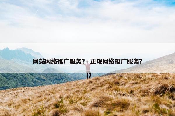 网站网络推广服务？ 正规网络推广服务？