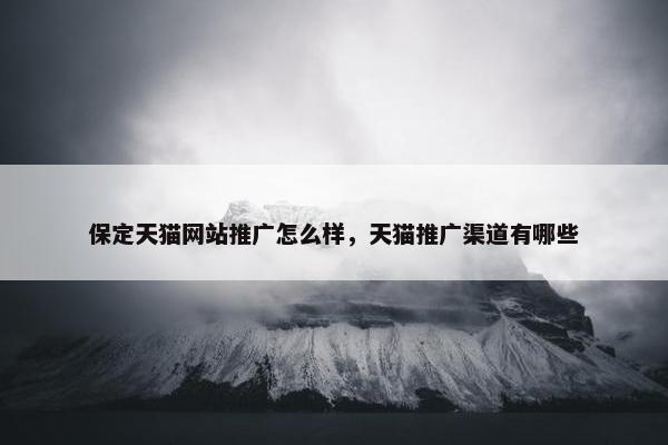 保定天猫网站推广怎么样，天猫推广渠道有哪些