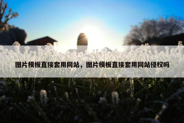 图片模板直接套用网站，图片模板直接套用网站侵权吗
